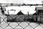 Ad Auschwitz c’era un’orchestra femminile