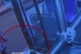 Il Bambino non Cammina, ma Prende l'Autobus! VIDEO