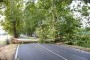 Ovindoli il vento abbatte alberi sulla carreggiata, chiusa statale 696