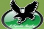 Polisportiva L'Aquila Rugby, di nuovo sul campo dopo il riposo
