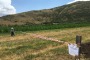 Forestale in Marsica sequestra terreno e 500 tonnellate di compost non organico