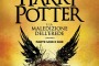Harry Potter e la maledizione dell'erede