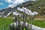 La Regione Abruzzo, anziché applicarla, vuole cambiare la recente legge a tutela degli ecosistemi