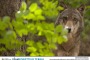 Concorso fotografico "Obbiettivo Terra " due menzioni al Parco d'Abruzzo