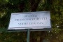 Piazza Francesco Totti VIII re di Roma