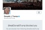 #StephenKing bloccato su Twitter da #Trump, Ironia Sui Social - @StephenKing