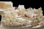 Il progetto dell'auditorium