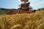 Febbo: ''Con il mio emendamento accesso al credito più facile per le aziende agricole''