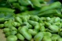 Le fave: un alimento molto salutare!