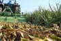 Teramo, tavolo tecnico per i rifiuti agricoli in provinca