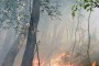 Bussi, incendio distrugge due ettari di bosco e macchia mediterranea