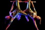Abruzzo24ore.tv mediapartner del festival del nuovo circo