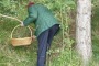 Ricoverato cercatore di funghi ferito dopo caduta
