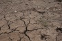 Grande caldo: a giugno - 70% di pioggia, per Coldiretti è allarme siccità