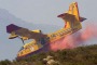 Roiano di Campli, incendio in area boschiva. Per i Vigili del Fuoco c'è dietro la mano dell'uomo