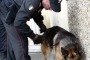 Controlli antidroga a Martinsicuro, scovato dormitorio di clandestini sul Tronto