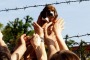 Uno dei cuccioli beagle liberati