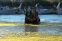 Scandalo dragaggio porto canale: il Pd chiede stato di emergenza