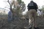 Appello della Forestale per trovare il piromane