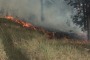 L'incendio di Roio: nuovo focolaio, 30 ettari in fumo. Danni per 800mila euro