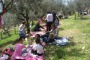 Vademecum della Forestale per il picnic ferragostano sicuro ed ecologico