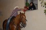 Serenata a cavallo per conquistare la sposa, incredibile a Trasacco (Aq)