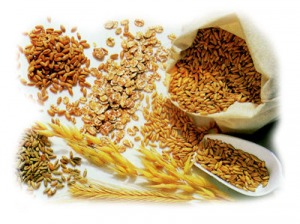 Nuovi punti di distribuzione prodotti per i celiaci dell'Aquila 