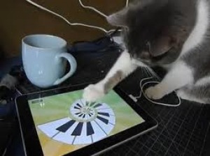 Caccia al topo... virtuale! 