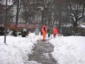 Numeri verdi Protezione civile: 800860146/800861016 