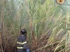 Incendio Parco Maiella, proseguono operazioni bonifica Preoccupa rogo a Castiglione a Casauria Incendio Parco Maiella, proseguono operazioni bonifica Preoccupa rogo a Castiglione a Casauria
