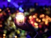 Earth Hour 