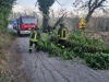 Interventi Imponenti dei Vigili del Fuoco nel Pescarese: 40 Missioni per Ripristinare la Sicurezza Interventi Imponenti dei Vigili del Fuoco nel Pescarese: 40 Missioni per Ripristinare la Sicurezza