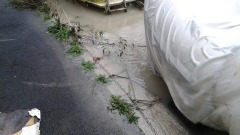 Esondazione fiume Pescara