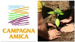 Campagna Amica