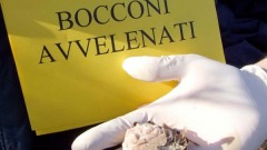 bocconi avvelenati