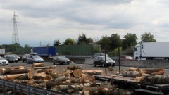 Camion perde tronchi, caos sull'autostrada Milano-Varese
