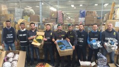 Gdf Varese - Maxi Sequestro