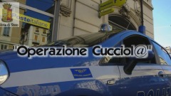 Operazione Cucciol@