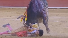 Il torero spagnolo, Victor Barrio