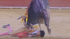 Il torero spagnolo, Victor Barrio