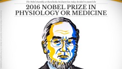 The 2016 NobelPrize Medicine awarded to Yoshinori Ohsumi