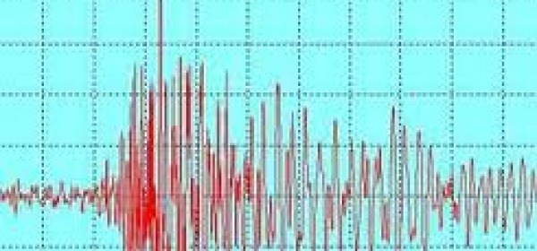 grafico sisma