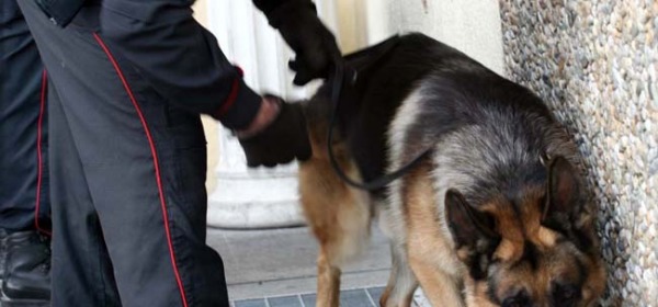 unita&#768; cinofila carabinieri