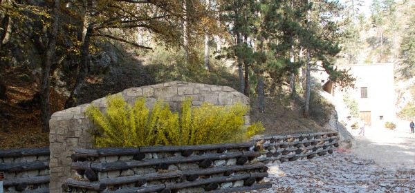 Bagno Madonna Fore