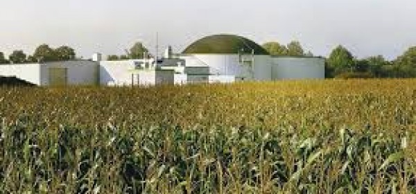 Una centrale a biomasse