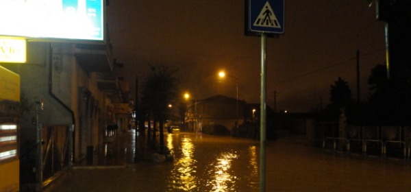 foto Michele Raho