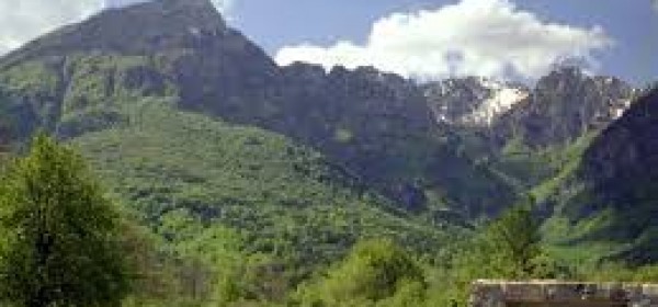 Parco d'Abruzzo, Lazio e Molise