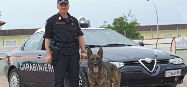 Carabinieri - unità cinofila