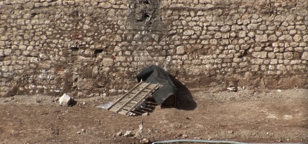 Leone coperto di Porta Barete