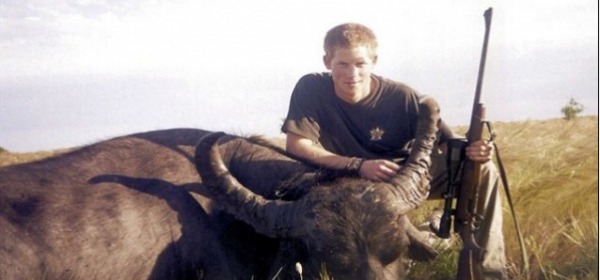 Harry con il bufalo